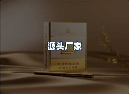专业团队办公环境